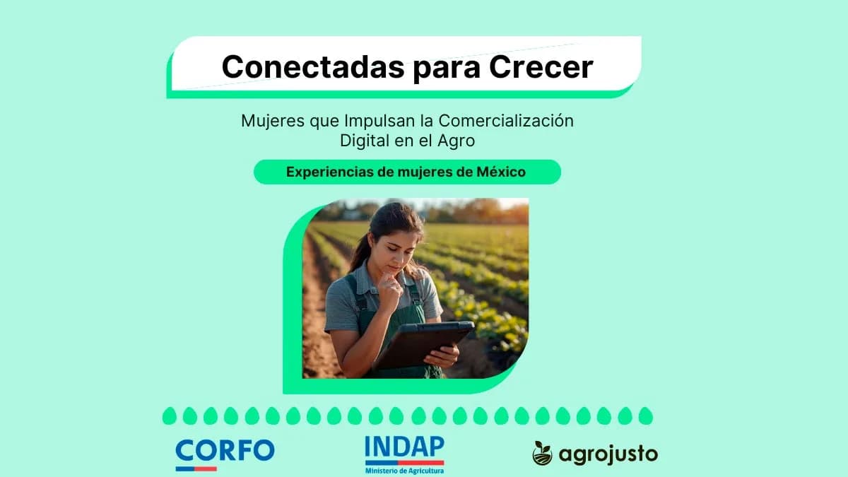 Conectadas para Crecer: Mujeres que Impulsan la Comercialización Digital en el Agro