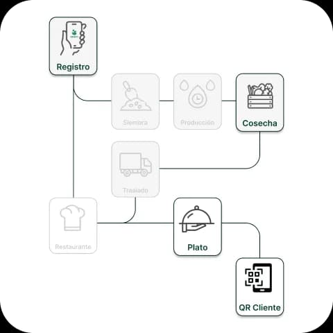 Transparency and trust with blockchain technology