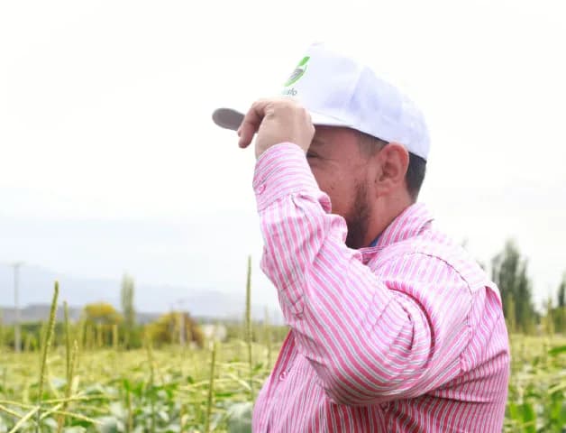 Produtor e fabricante de alimentos